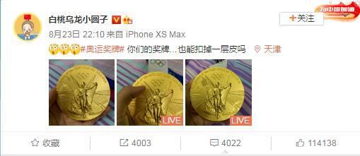 威廉，盖恩斯坚持自己的观点，并作出了非常合情合理的解释，他阐释了儿童所拥有的天生的智慧与判断力，能够证明青少年犯罪是现实社会环境造成的，并不是文学故事造成的。